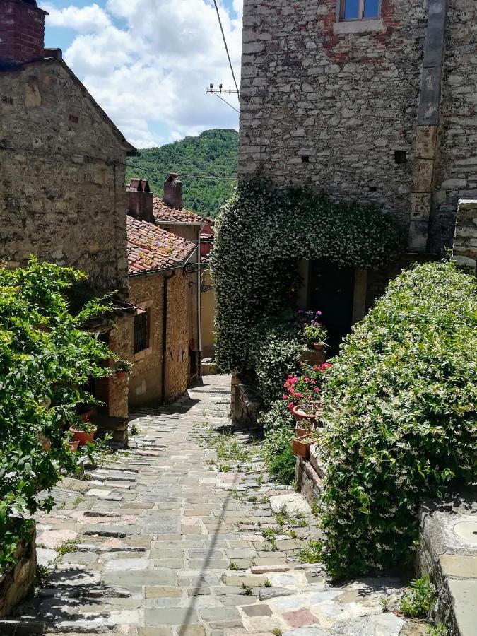 Ferienwohnung Casa Di Gaia Sassetta Exterior foto